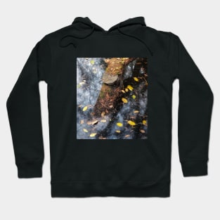 Ecstasy of Fall Hoodie